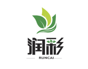 润彩LOGO设计